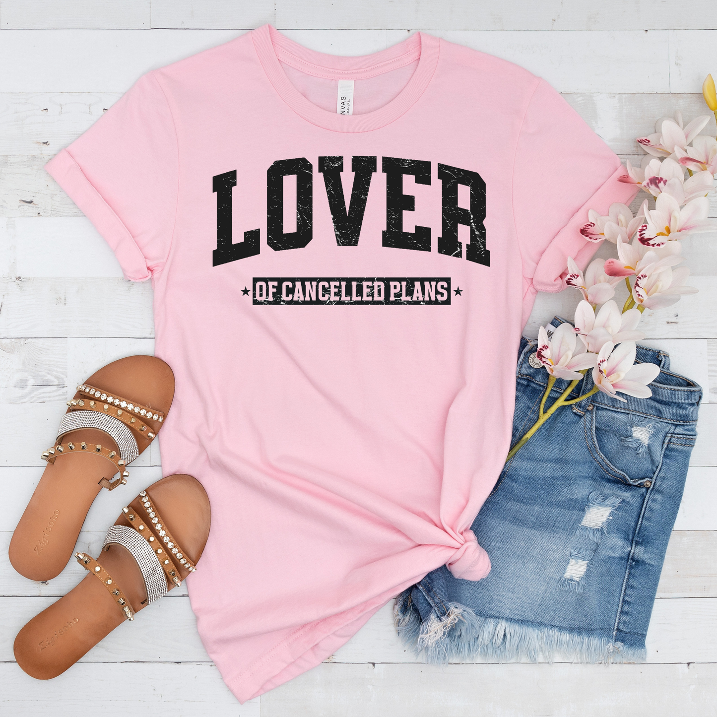LOVER OF CANCELLED PLANS T-SHIRT